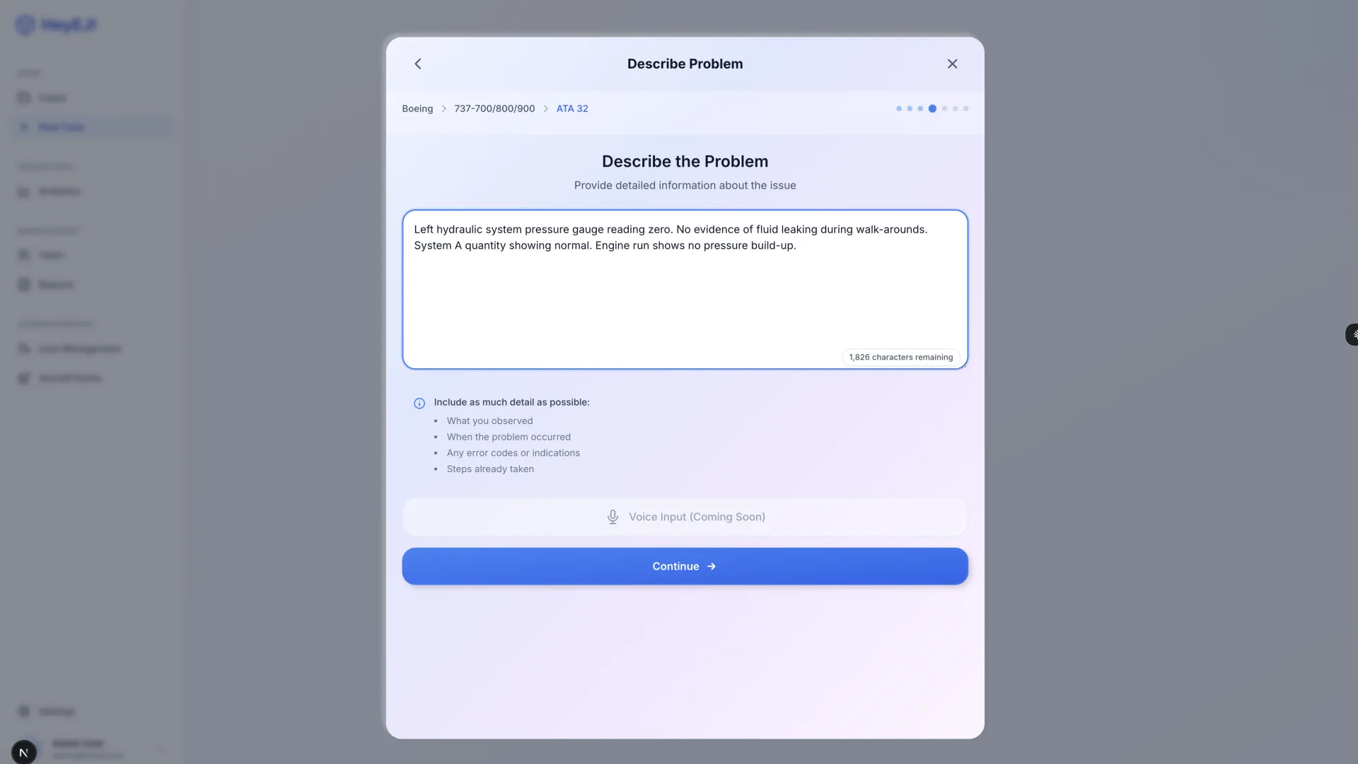 HeyEJ Describe Problem